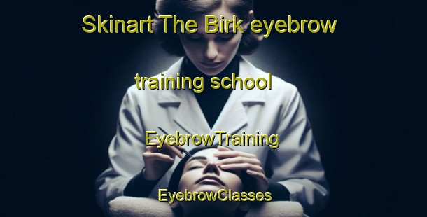 Skinart The Birk eyebrow training school | EyebrowTraining | EyebrowClasses | SkinartTraining-Germany