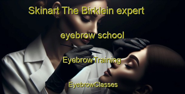 Skinart The Birklein expert eyebrow school | EyebrowTraining | EyebrowClasses | SkinartTraining-Germany