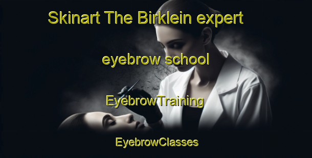 Skinart The Birklein expert eyebrow school | EyebrowTraining | EyebrowClasses | SkinartTraining-Germany