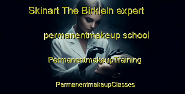 Skinart The Birklein expert permanentmakeup school | PermanentmakeupTraining | PermanentmakeupClasses | SkinartTraining-Germany