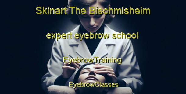 Skinart The Bischmisheim expert eyebrow school | EyebrowTraining | EyebrowClasses | SkinartTraining-Germany
