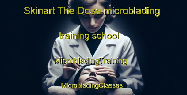 Skinart The Dose microblading training school | MicrobladingTraining | MicrobladingClasses | SkinartTraining-Germany