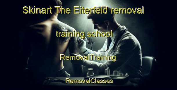 Skinart The Eiterfeld removal training school | RemovalTraining | RemovalClasses | SkinartTraining-Germany