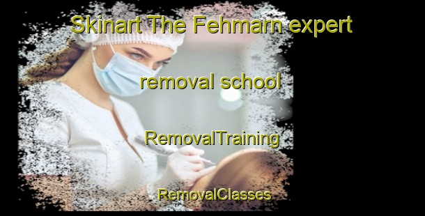 Skinart The Fehmarn expert removal school | RemovalTraining | RemovalClasses | SkinartTraining-Germany