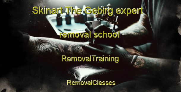 Skinart The Gebirg expert removal school | RemovalTraining | RemovalClasses | SkinartTraining-Germany