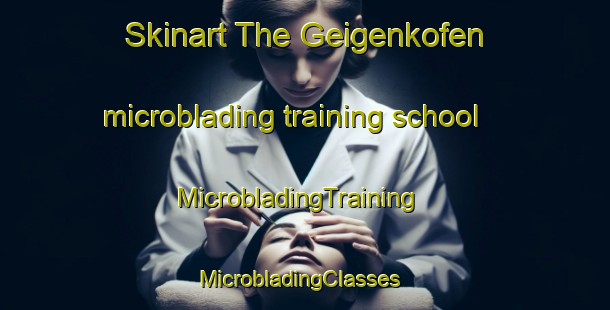 Skinart The Geigenkofen microblading training school | MicrobladingTraining | MicrobladingClasses | SkinartTraining-Germany