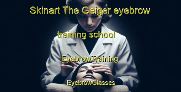 Skinart The Geiger eyebrow training school | EyebrowTraining | EyebrowClasses | SkinartTraining-Germany