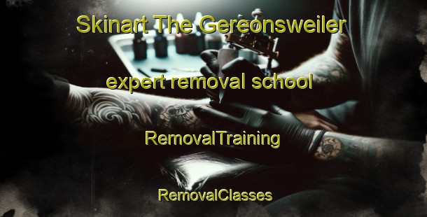 Skinart The Gereonsweiler expert removal school | RemovalTraining | RemovalClasses | SkinartTraining-Germany