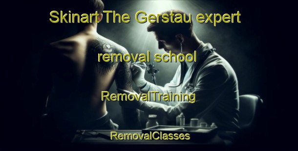 Skinart The Gerstau expert removal school | RemovalTraining | RemovalClasses | SkinartTraining-Germany
