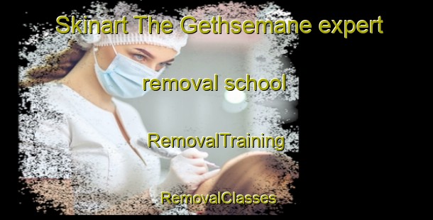 Skinart The Gethsemane expert removal school | RemovalTraining | RemovalClasses | SkinartTraining-Germany