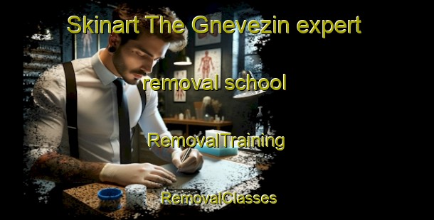 Skinart The Gnevezin expert removal school | RemovalTraining | RemovalClasses | SkinartTraining-Germany