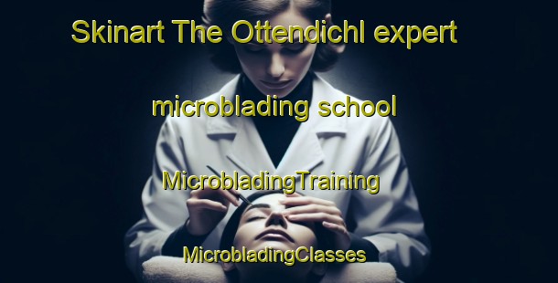 Skinart The Ottendichl expert microblading school | MicrobladingTraining | MicrobladingClasses | SkinartTraining-Germany