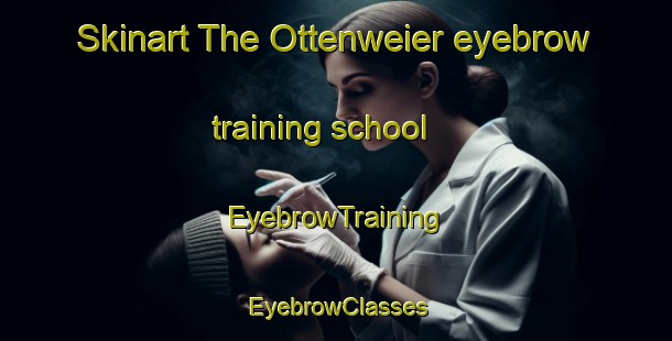 Skinart The Ottenweier eyebrow training school | EyebrowTraining | EyebrowClasses | SkinartTraining-Germany
