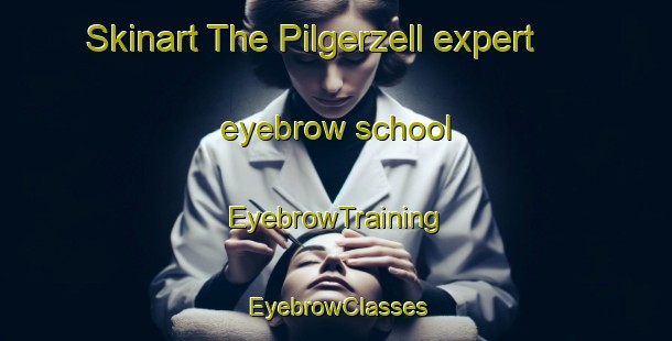 Skinart The Pilgerzell expert eyebrow school | EyebrowTraining | EyebrowClasses | SkinartTraining-Germany