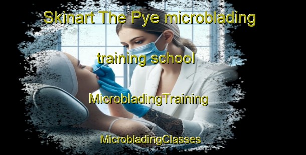 Skinart The Pye microblading training school | MicrobladingTraining | MicrobladingClasses | SkinartTraining-Germany