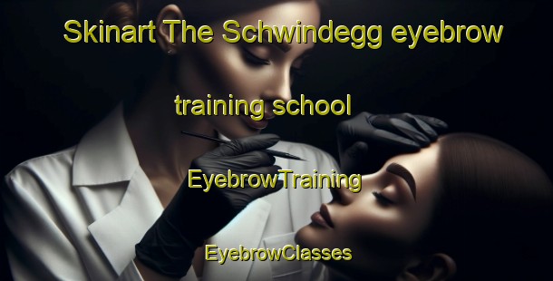 Skinart The Schwindegg eyebrow training school | EyebrowTraining | EyebrowClasses | SkinartTraining-Germany