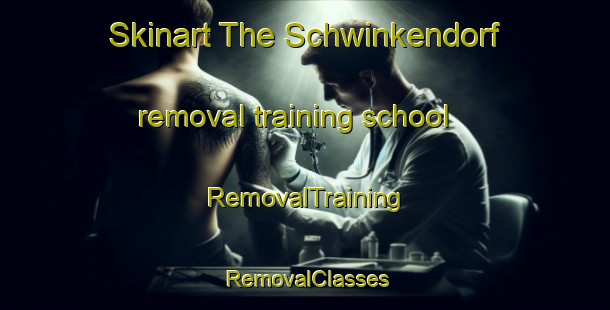 Skinart The Schwinkendorf removal training school | RemovalTraining | RemovalClasses | SkinartTraining-Germany