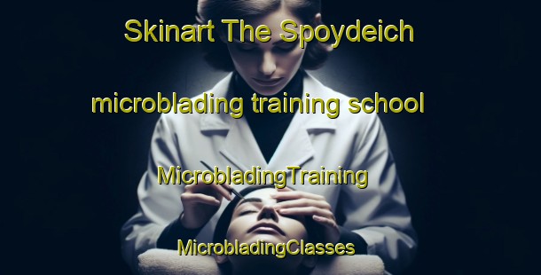 Skinart The Spoydeich microblading training school | MicrobladingTraining | MicrobladingClasses | SkinartTraining-Germany