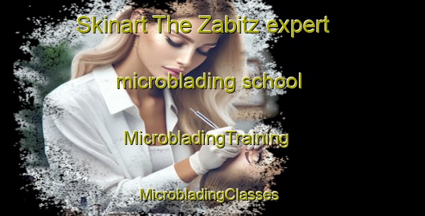 Skinart The Zabitz expert microblading school | MicrobladingTraining | MicrobladingClasses | SkinartTraining-Germany