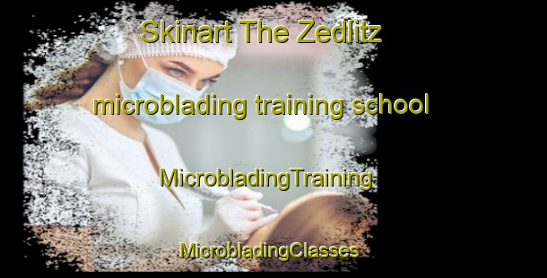 Skinart The Zedlitz microblading training school | MicrobladingTraining | MicrobladingClasses | SkinartTraining-Germany
