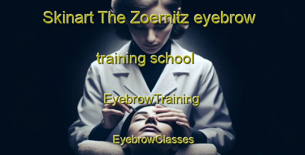 Skinart The Zoernitz eyebrow training school | EyebrowTraining | EyebrowClasses | SkinartTraining-Germany