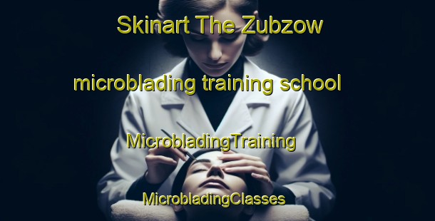 Skinart The Zubzow microblading training school | MicrobladingTraining | MicrobladingClasses | SkinartTraining-Germany