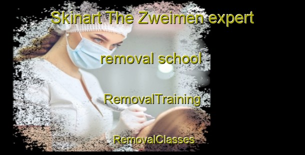Skinart The Zweimen expert removal school | RemovalTraining | RemovalClasses | SkinartTraining-Germany