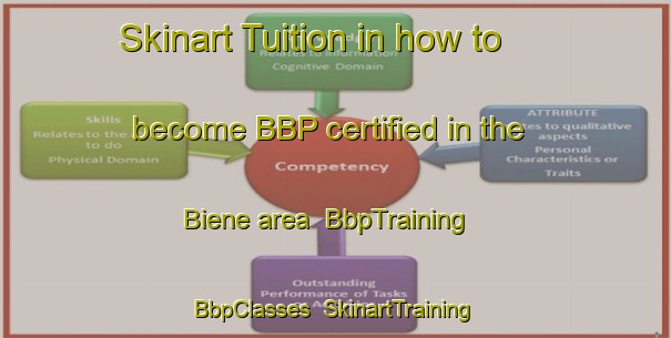 Skinart Tuition in how to become BBP certified in the Biene area | BbpTraining | BbpClasses | SkinartTraining-Germany