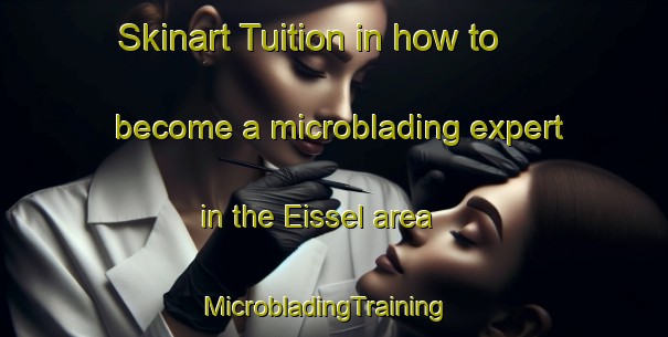 Skinart Tuition in how to become a microblading expert in the Eissel area | MicrobladingTraining | MicrobladingClasses | SkinartTraining-Germany