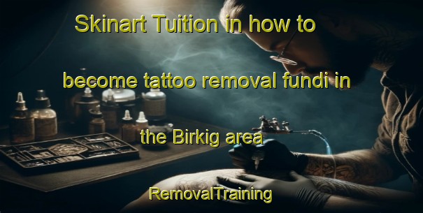 Skinart Tuition in how to become tattoo removal fundi in the Birkig area | RemovalTraining | RemovalClasses | SkinartTraining-Germany