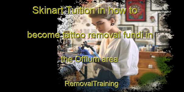 Skinart Tuition in how to become tattoo removal fundi in the Offlum area | RemovalTraining | RemovalClasses | SkinartTraining-Germany