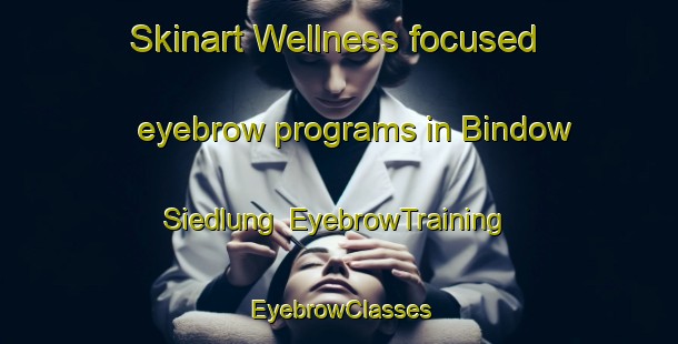 Skinart Wellness-focused eyebrow programs in Bindow Siedlung | EyebrowTraining | EyebrowClasses | SkinartTraining-Germany