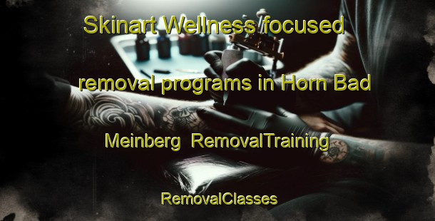 Skinart Wellness-focused removal programs in Horn Bad Meinberg | RemovalTraining | RemovalClasses | SkinartTraining-Germany