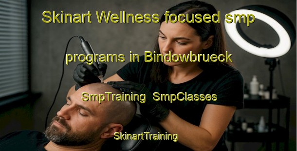 Skinart Wellness-focused smp programs in Bindowbrueck | SmpTraining | SmpClasses | SkinartTraining-Germany
