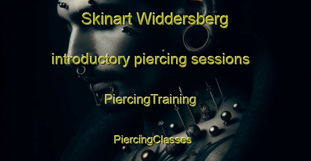 Skinart Widdersberg introductory piercing sessions | PiercingTraining | PiercingClasses | SkinartTraining-Germany