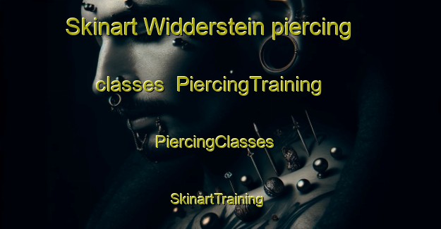 Skinart Widderstein piercing classes | PiercingTraining | PiercingClasses | SkinartTraining-Germany