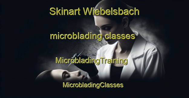 Skinart Wiebelsbach microblading classes | MicrobladingTraining | MicrobladingClasses | SkinartTraining-Germany