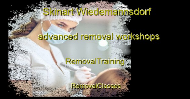 Skinart Wiedemannsdorf advanced removal workshops | RemovalTraining | RemovalClasses | SkinartTraining-Germany