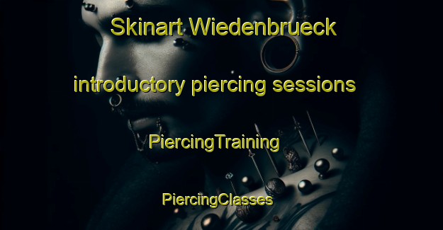 Skinart Wiedenbrueck introductory piercing sessions | PiercingTraining | PiercingClasses | SkinartTraining-Germany