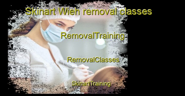 Skinart Wieh removal classes | RemovalTraining | RemovalClasses | SkinartTraining-Germany