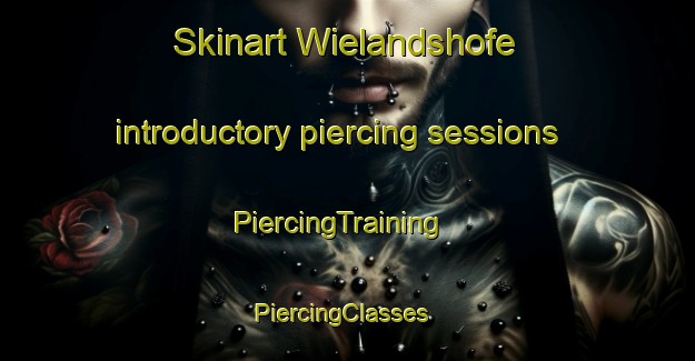 Skinart Wielandshofe introductory piercing sessions | PiercingTraining | PiercingClasses | SkinartTraining-Germany