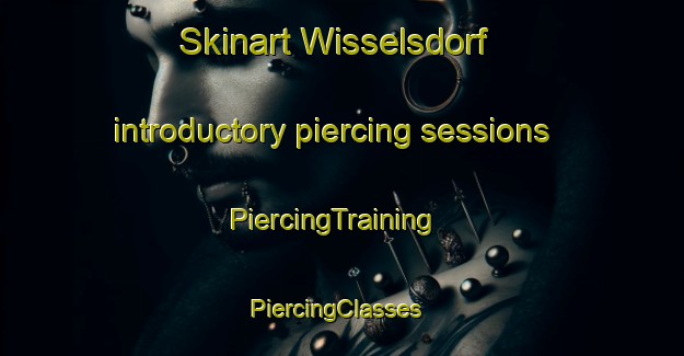 Skinart Wisselsdorf introductory piercing sessions | PiercingTraining | PiercingClasses | SkinartTraining-Germany