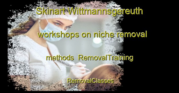 Skinart Wittmannsgereuth workshops on niche removal methods | RemovalTraining | RemovalClasses | SkinartTraining-Germany