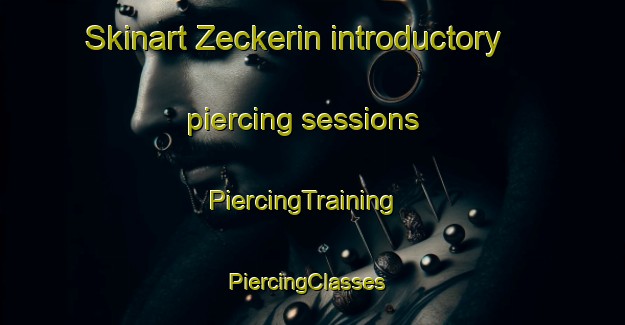 Skinart Zeckerin introductory piercing sessions | PiercingTraining | PiercingClasses | SkinartTraining-Germany