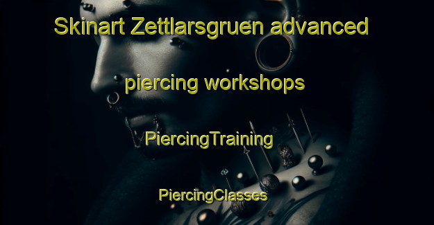 Skinart Zettlarsgruen advanced piercing workshops | PiercingTraining | PiercingClasses | SkinartTraining-Germany