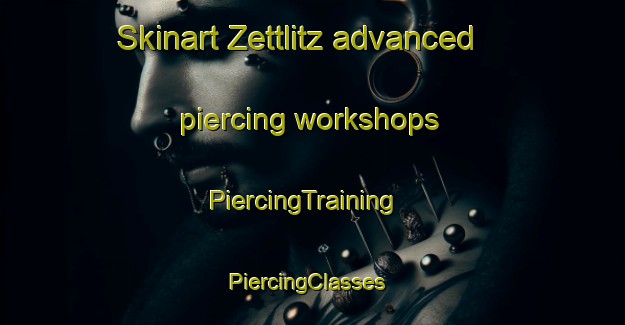 Skinart Zettlitz advanced piercing workshops | PiercingTraining | PiercingClasses | SkinartTraining-Germany