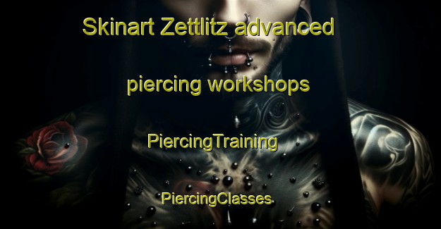 Skinart Zettlitz advanced piercing workshops | PiercingTraining | PiercingClasses | SkinartTraining-Germany