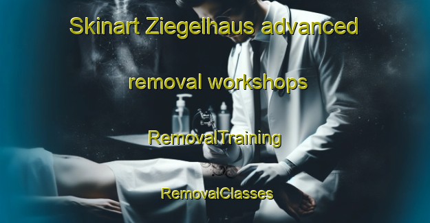 Skinart Ziegelhaus advanced removal workshops | RemovalTraining | RemovalClasses | SkinartTraining-Germany