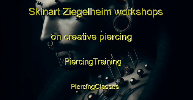 Skinart Ziegelheim workshops on creative piercing | PiercingTraining | PiercingClasses | SkinartTraining-Germany
