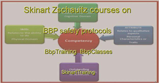 Skinart Zschauitz courses on BBP safety protocols | BbpTraining | BbpClasses | SkinartTraining-Germany